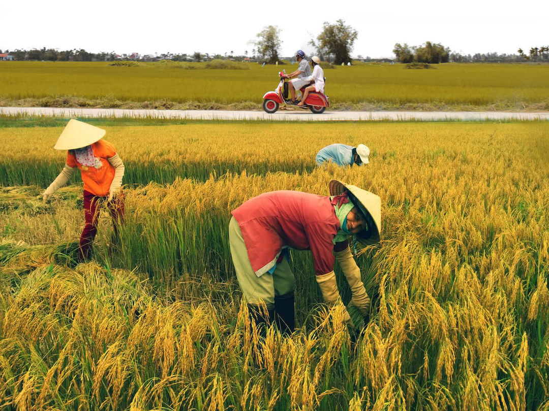 Rural Villages Experience