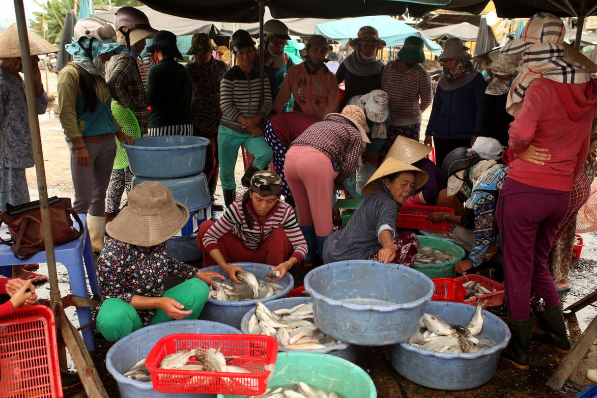 Hoi An Countryside & Islands + Teh Dar Show