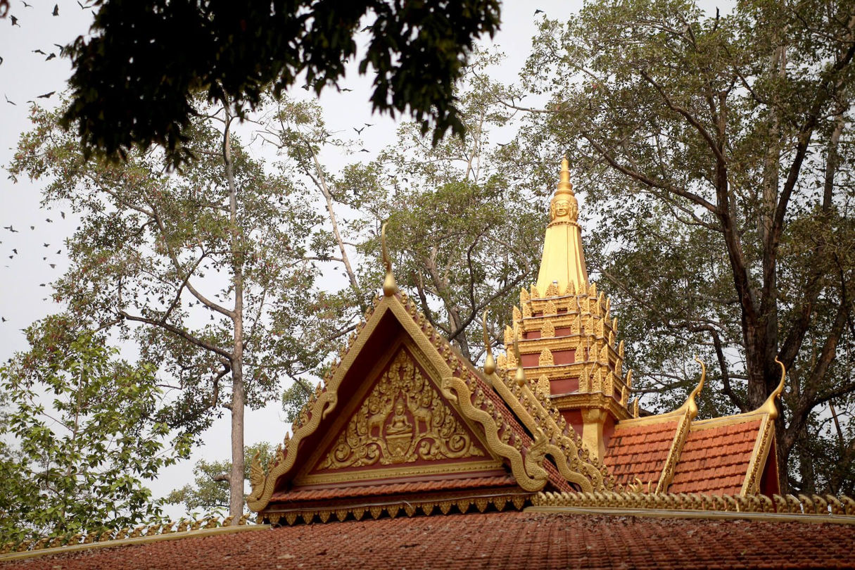 Countryside Life Tour - Siem Reap