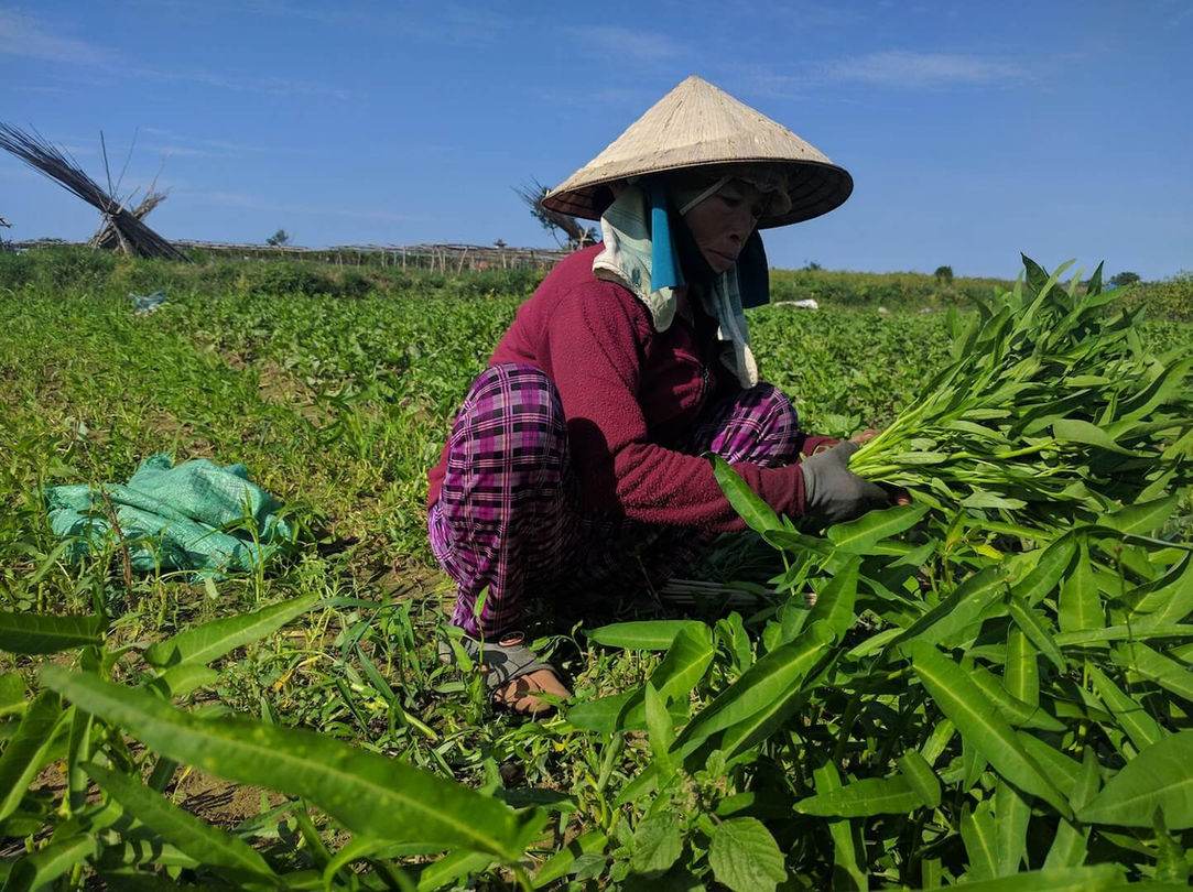 Rural Villages Experience