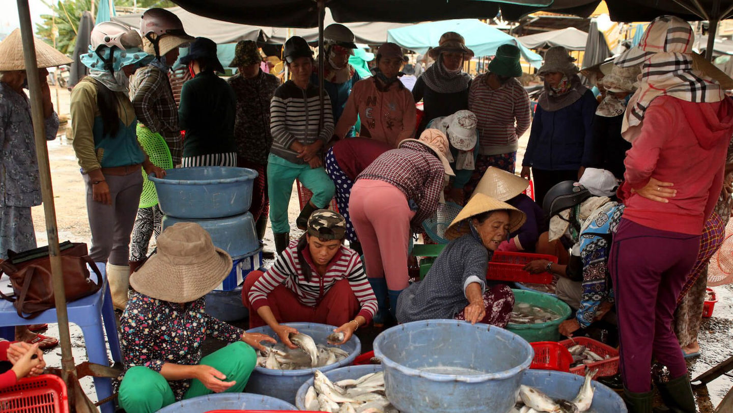 hoi an countryside vespa tour