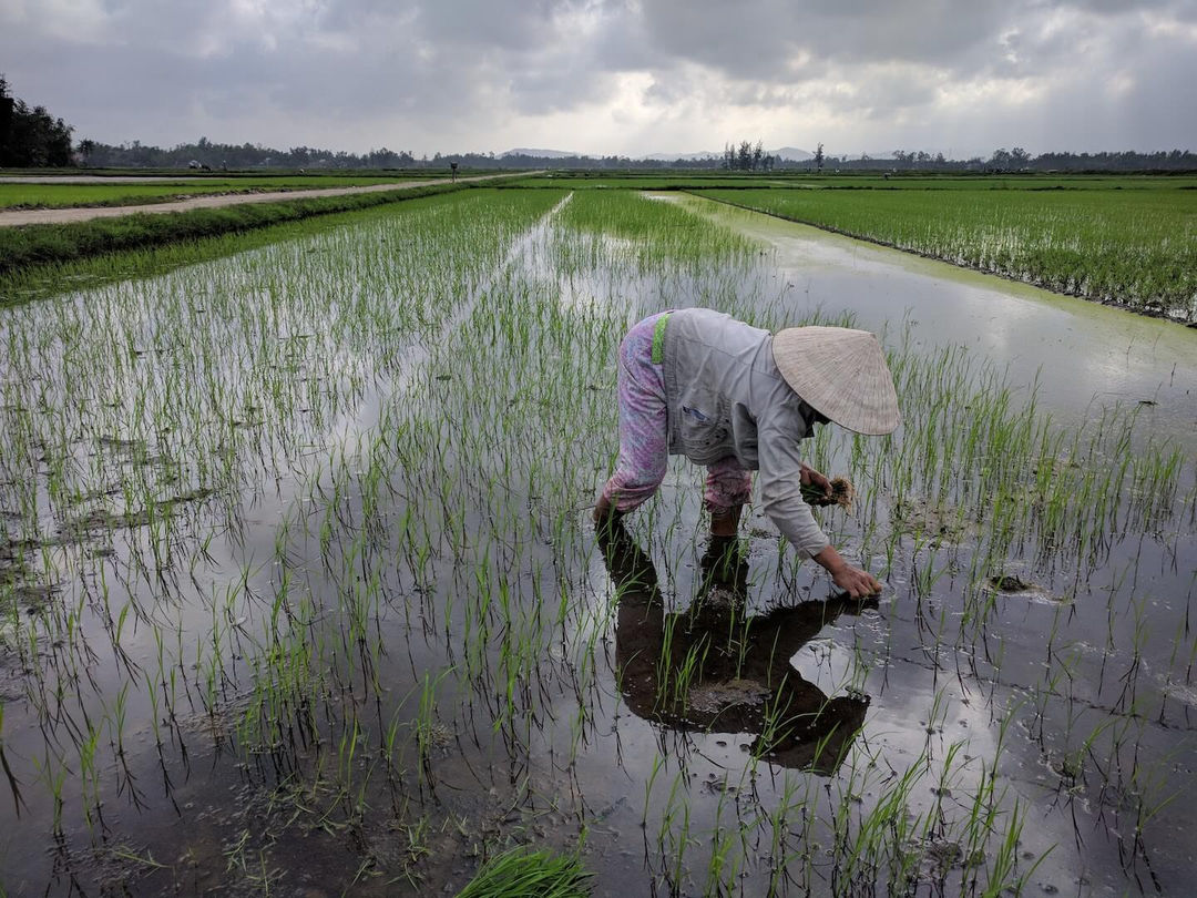Rural Villages Experience