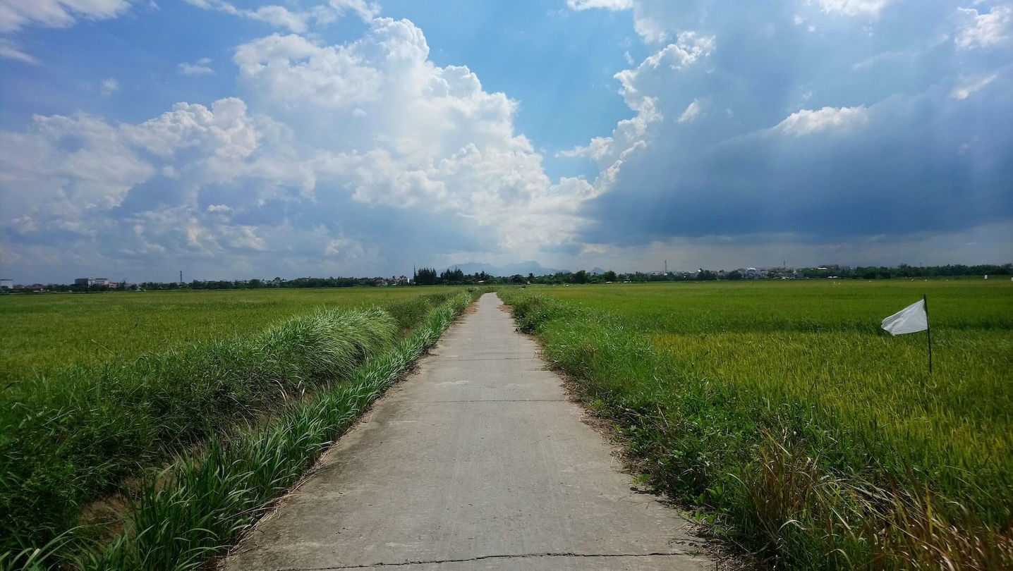 Hoi An Countryside & Islands Explorer